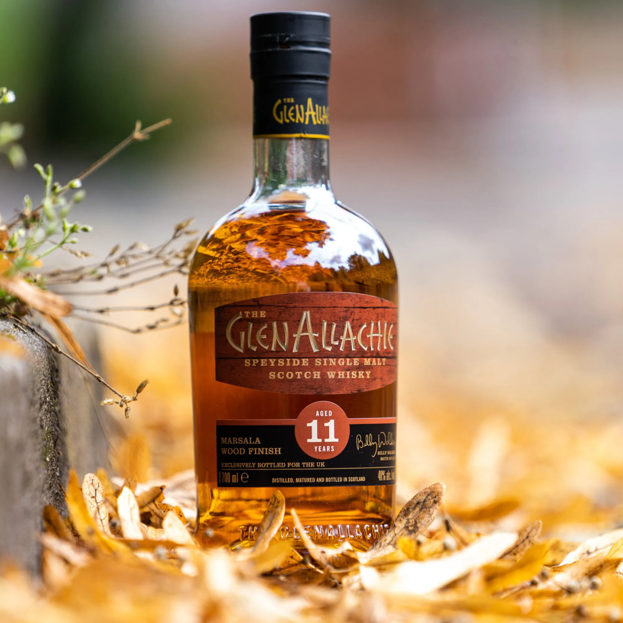 GlenAllachie 11 Jahre Marsala Wood Finish