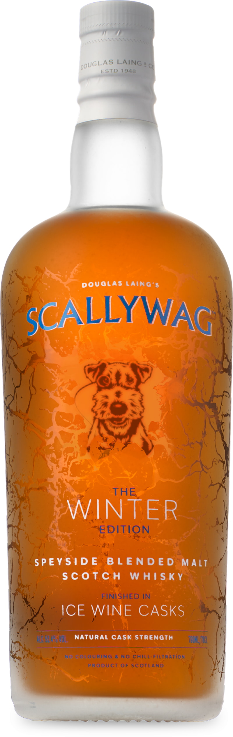 Scallywag - The Winter Edition 2025