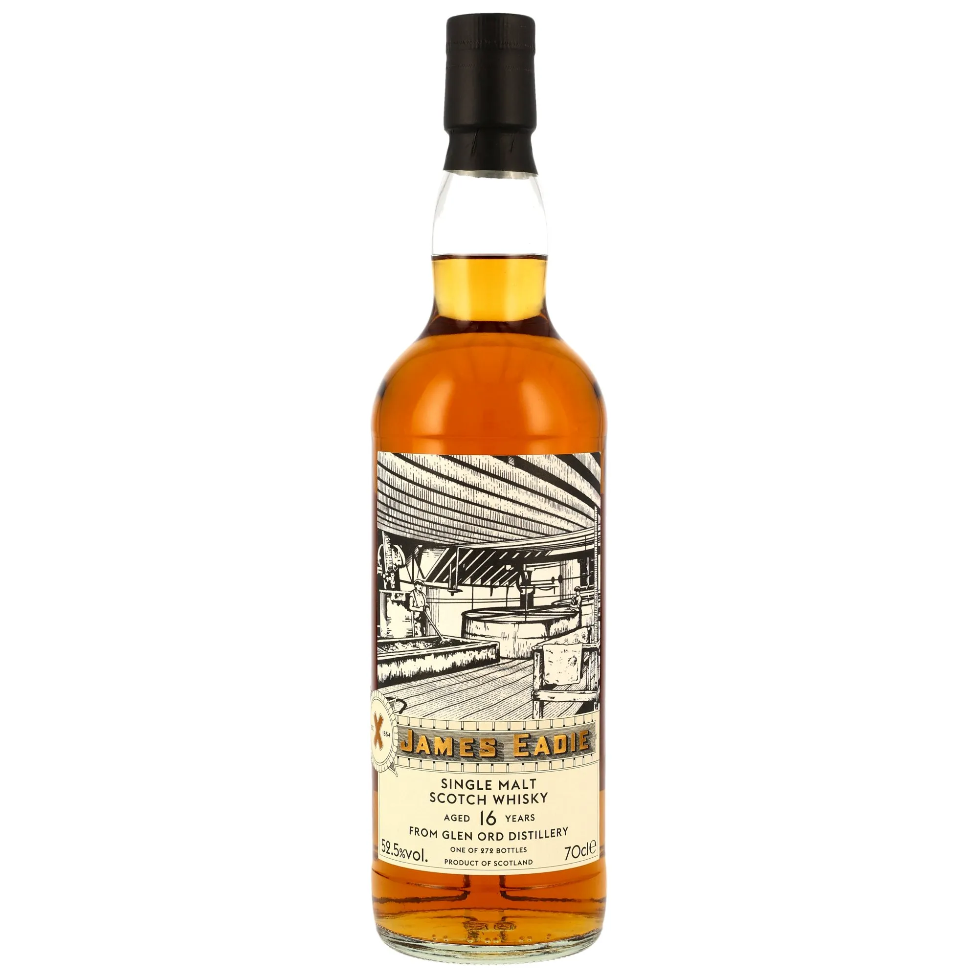 Glen Ord 2009/2025 - 16 Year Old - 1st Fill Bourbon HHD #309222 - James Eadie